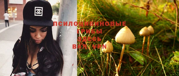 молекула духа Коряжма