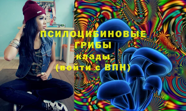 героин Корсаков