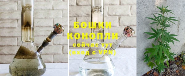 молекула духа Коряжма