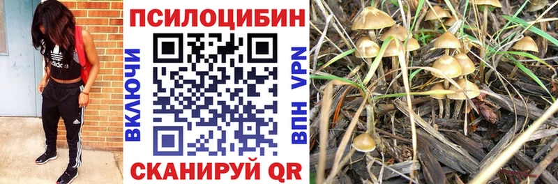 Галлюциногенные грибы Magic Shrooms  Купить закладки  Аткарск 